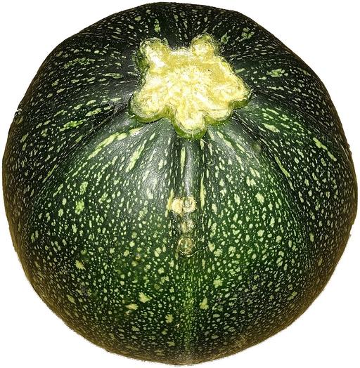 Courgette 8 Ball
