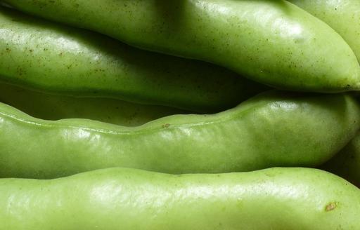 Broad Bean